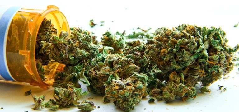 Alabama Medical Cannabis Licensing on Hold, Again
