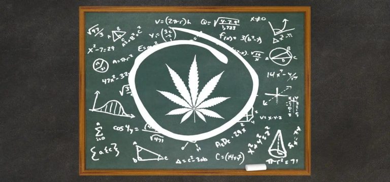 St. Cloud University Partners with Green Flower on Cannabis Education Program