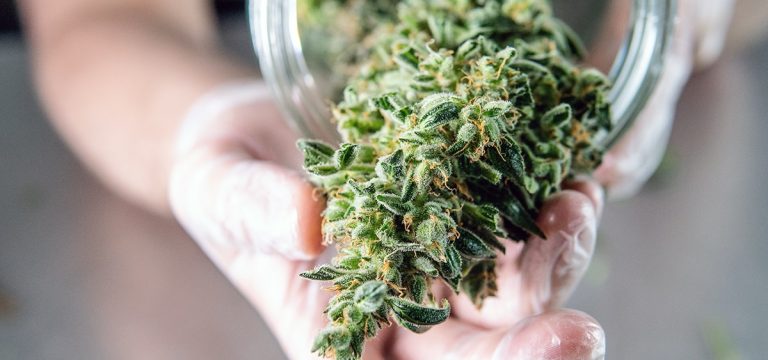 Adult-Use Cannabis Sales in Illinois Reach $136M in June, Highest Total This Year