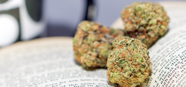 Two Missouri Community Colleges Now Offering Cannabis Courses