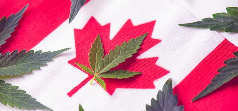 Square Partners With Jane Technologies to Service Canadian Cannabis Industry