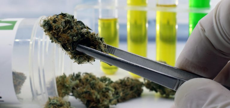 Studies Find Many Maine Medical Cannabis Products Fail Adult-Use Testing Protocols