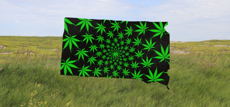 South Dakota Considers Increasing Medical Cannabis THC Caps