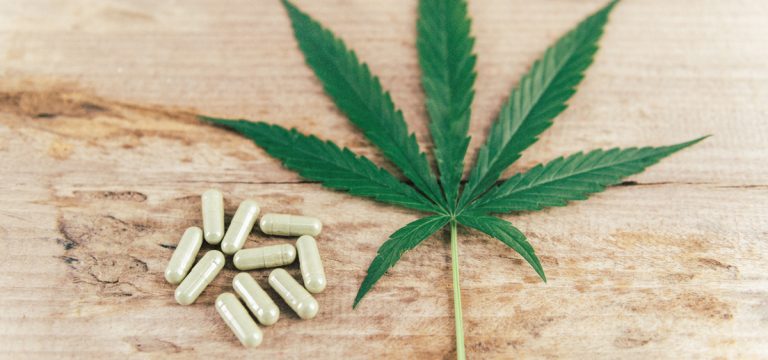 University of Mississippi to Launch Medical Cannabis and Dietary Supplements Graduate Program