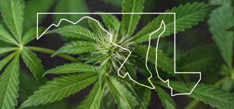 Maryland Opens First Round of Adult-Use Cannabis Business Licensing