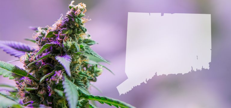 Connecticut Raises Cannabis Purchase Limits Starting in December