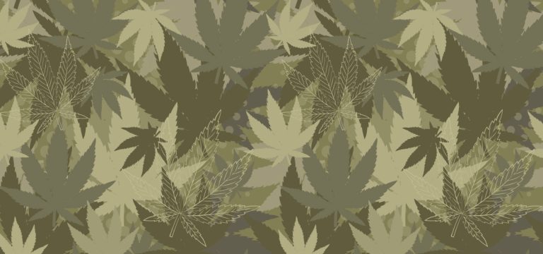 Missouri Transfers $13M in Medical Cannabis Derived Funds to Veterans Commission
