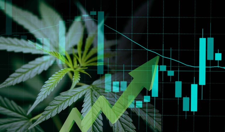 Global CBD Market to Hit $36B Over Next Decade, Report Predicts