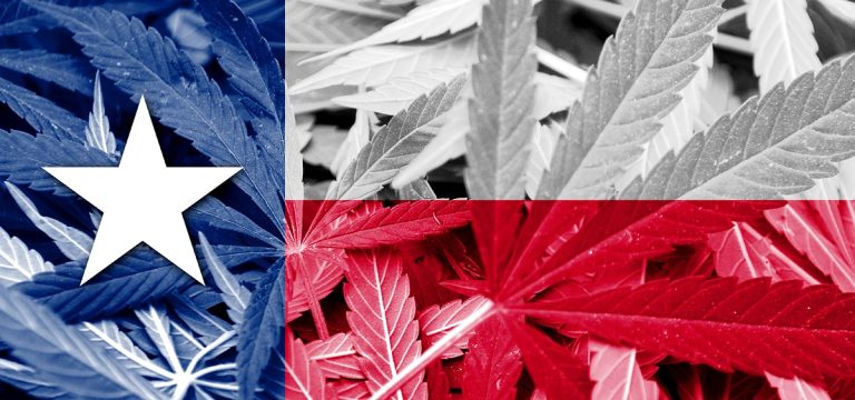 Texas Activists Sue City That Refuses to Reform Cannabis Laws Despite Ballot Measure Approval