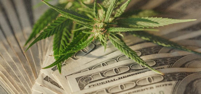 Michigan Cannabis Dispensaries Set $3B Sales Record In 2023