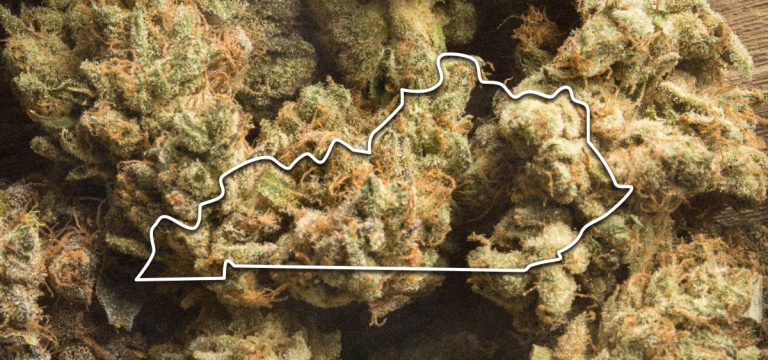 Kentucky Chooses Metrc for Cannabis Industry Track-and-Trace Contract