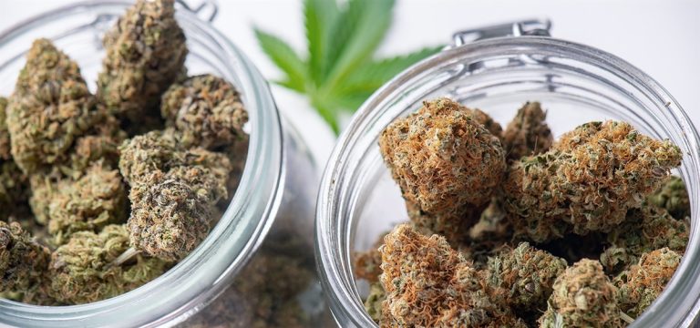 Survey: 86% of Californians Favor Legal Cannabis Sources