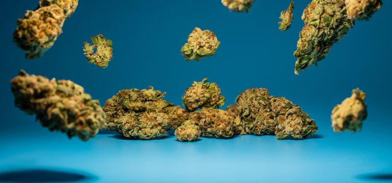 Massachusetts Sets New Annual $1.56B Cannabis Sales Record