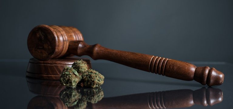 New York Court Rules In Favor of Leafly, Strikes Down the Industry's Cannabis Marketing Rules