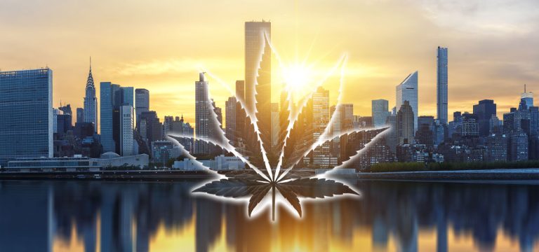 Top New York Cannabis Regulator to Step Down