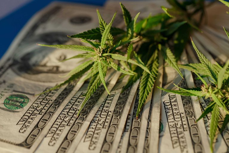 House Republicans Strike Cannabis Banking Provisions From Funding Bill