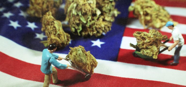 Report: Cannabis Rescheduling Would Create 50,000+ Jobs