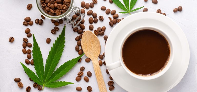 California Gov. Signs Bill to Let Cannabis Cafes Serve Food & Host Live Music