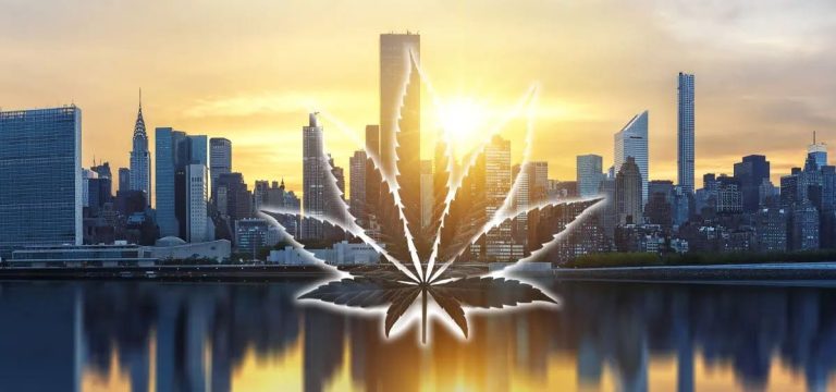 New York Officials Release Multi-Year Cannabis Industry Report