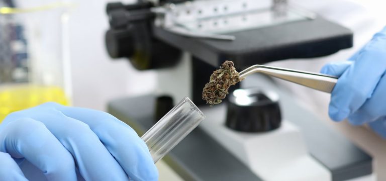 Oklahoma Regulators Planning to Open Cannabis Testing Lab to Double-Check Commercial Labs