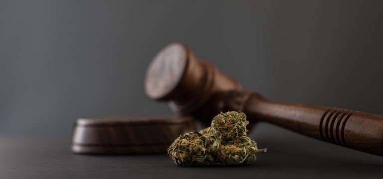 Alabama Parents Sue Medical Cannabis Commission Over Failure to Implement Program On Time