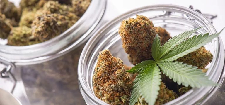 Washington to Issue New Social Equity Cannabis Licenses This Summer