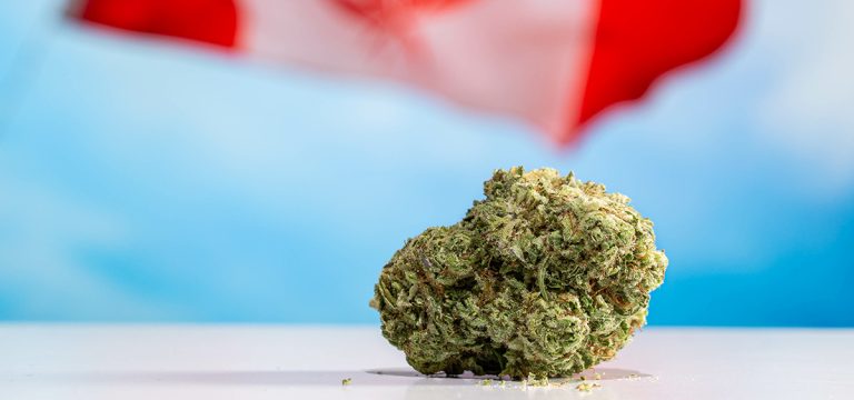 Cannabis Council of Canada Calls for Industry Reforms Following Election
