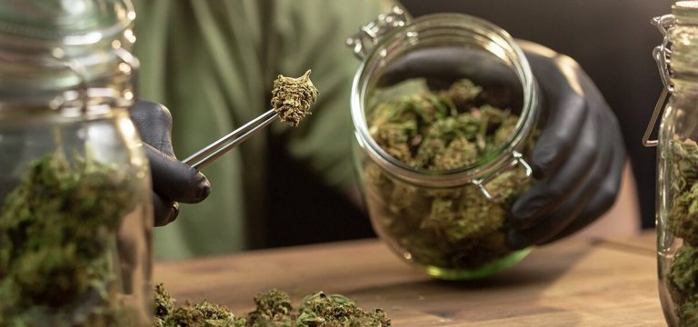 Report: U.S. Cannabis Sales Reached $30.1 Billion in 2024