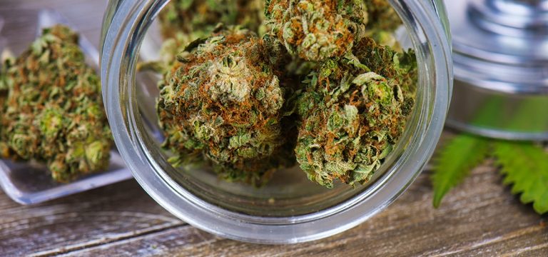 New Jersey Lawmakers Consider Criminalizing the Purchase of Unlicensed Cannabis