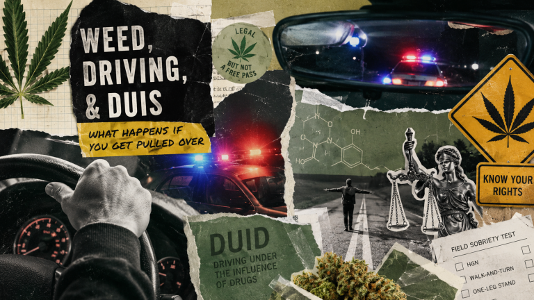 cannabis dui