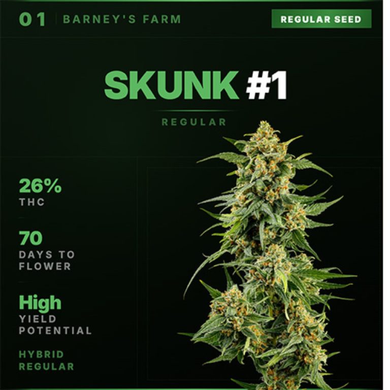 Eight Cannabis Legends Return in Regular-Seed Form