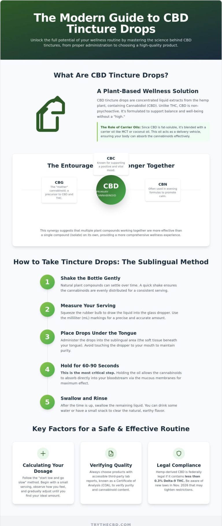 A Comprehensive 2026 Guide for Beginners