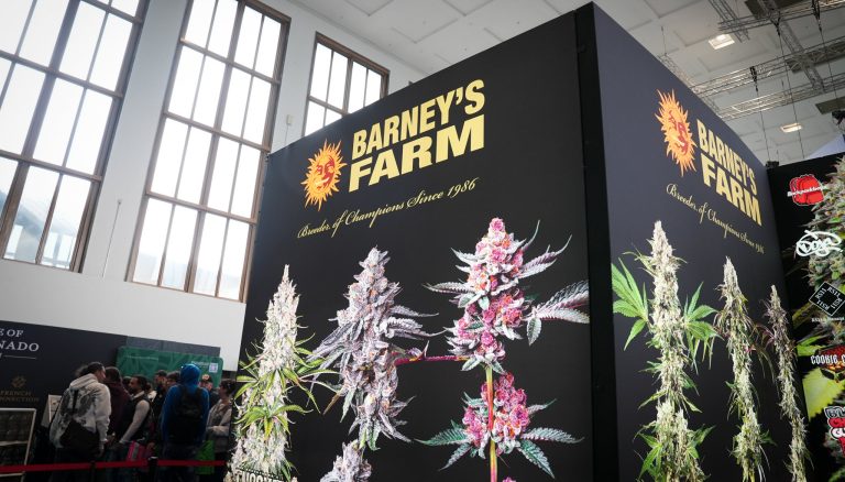 40 Years of Cannabis Seed Genetics