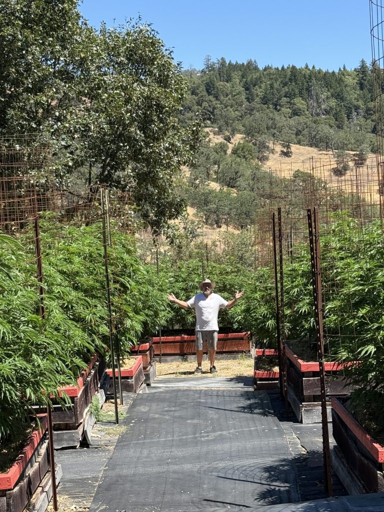 The Future of Cannabis Tourism Starts on the Farm