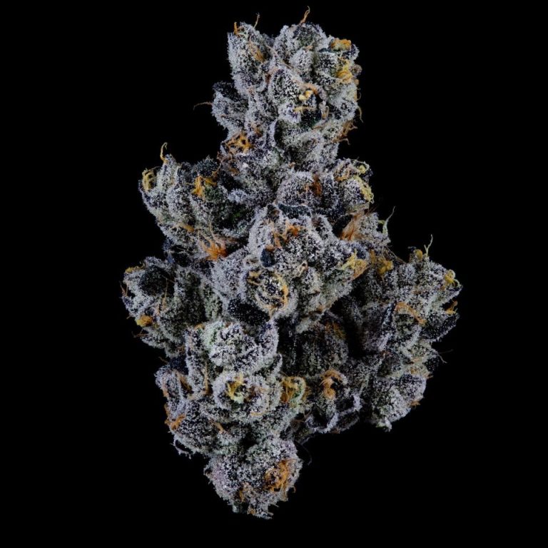 High Times Strains of the Month: September 2026 High Times Strains Of the Month